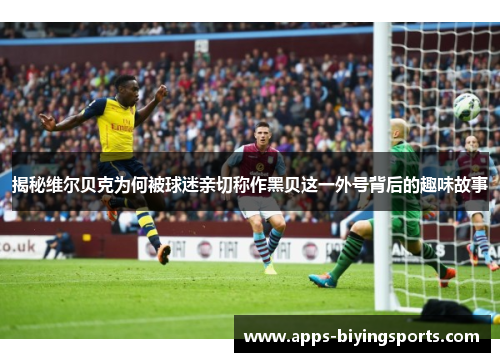 揭秘维尔贝克为何被球迷亲切称作黑贝这一外号背后的趣味故事 揭秘维尔贝克为何被球迷亲切称作黑贝这一外号背后的趣味故事