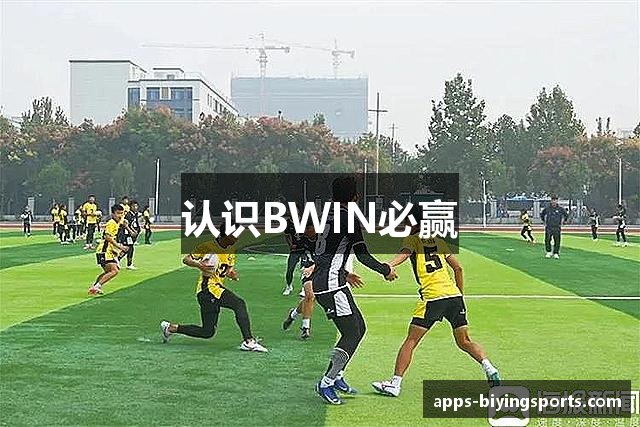 认识BWIN必赢